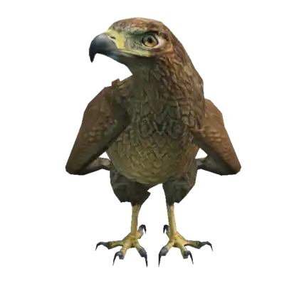 A C Chickenhawk
