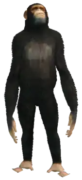 A C Chimp