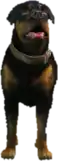 A C Chop
