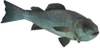 A C Fish — FiveM ped model preview